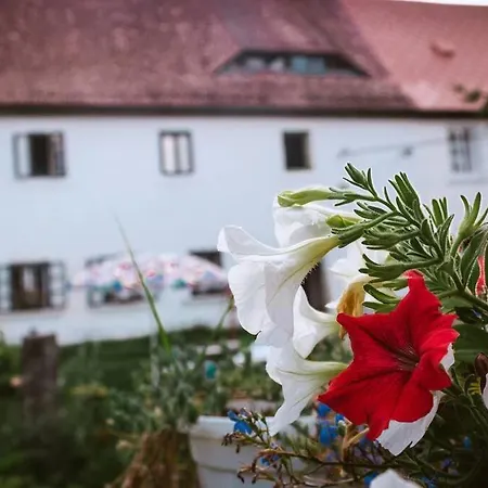 Nest&Rest Nature Home Spa Enjoy Cozy Treehouse Ferienhaus