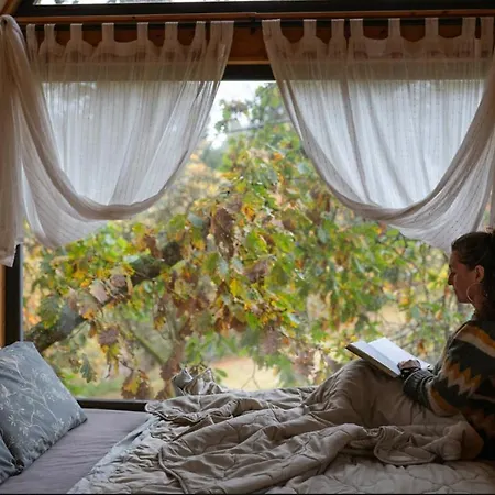 Ferienhaus Nest&Rest Nature Home Spa Enjoy Cozy Treehouse *