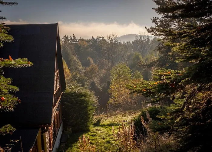 度假居 Enjoy Cozy Tree House Hills Forest Gardens Beautiful Views Sauna Hotbath Jablonné v Podještědí