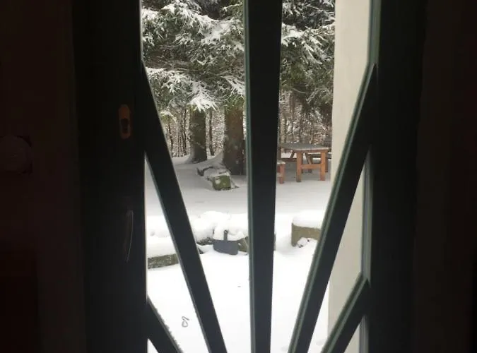 Enjoy Cozy Tree House Hills Forest Gardens Beautiful Views Sauna Hotbath *